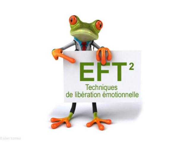 formation Maître Praticien EFT du lundi 22  au vendredi 26 avril 2024 à Granville 